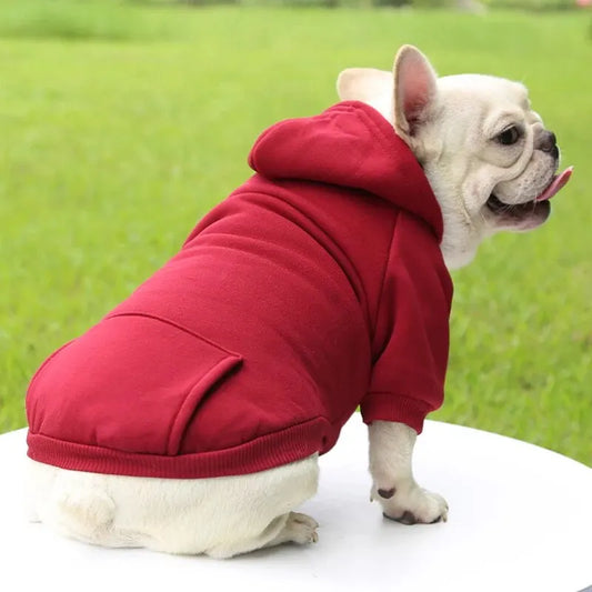 Roupa de dois pés com capuz moda casual para cachorro