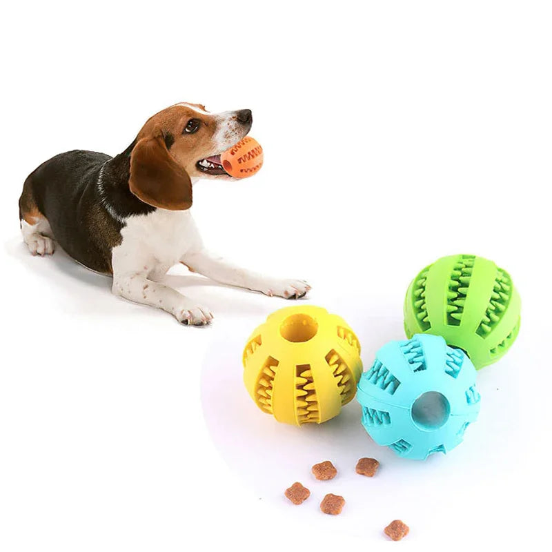 Bola de brinquedo para cachorro